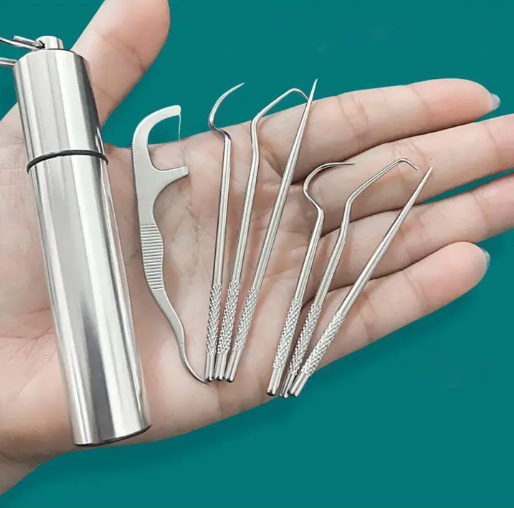 1 Set Toothpick Set Metal Stainless Steel Oral Cleaning